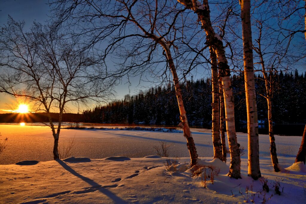 Snöig svensk vinter
